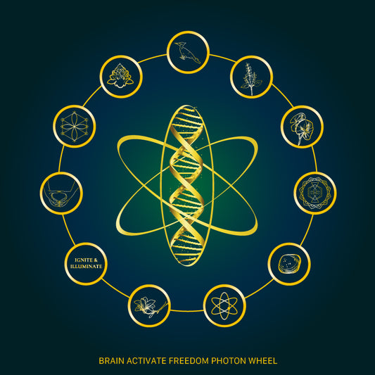 Brain Activate™ Aromatherapeutic Roll On