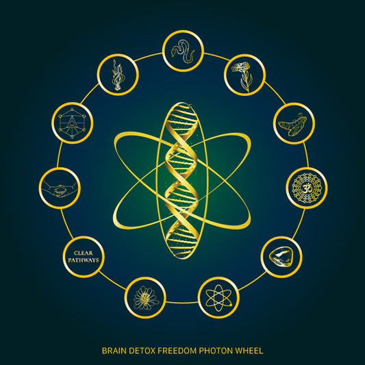 Brain Detox™ Aromatherapeutic Roll On