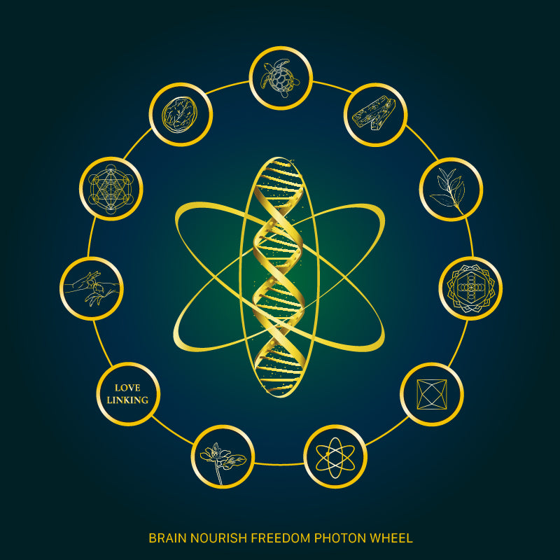 Brain Nourish™ Aromatherapeutic Roll On