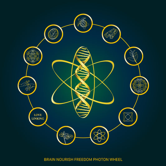 Brain Nourish™ Aromatherapeutic Roll On