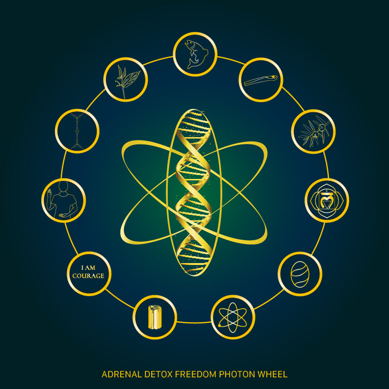 Adrenal Activate™ Aromatherapeutic Roll On